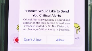 iPhone stuck on Home would you like to send you critical Alerts on iPhone 13 mini and 14 pro max fix [upl. by Algie]