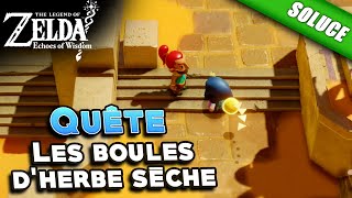 Les boules dherbe sèche QuêteSolution  The Legend of Zelda Echoes of Wisdom [upl. by Akcebar]