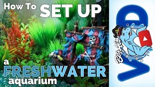 How to Set Up a Freshwater Aquarium  Big Als [upl. by Eliath6]