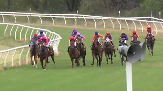 Goondiwindi 24022024 Race 1 [upl. by Summer]