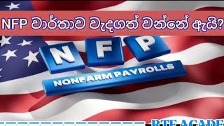 NAN FARM PAYROLL [upl. by Donahoe885]