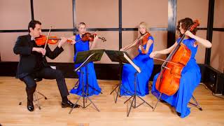 Serenade Schubert String Quartet Wedding Music [upl. by Groos]