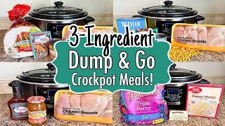 6 DUMP amp GO CROCKPOT DINNERS  The BEST Quick amp EASY 3INGREDIENT Slow Cooker Meals  Julia Pacheco [upl. by Blackington]