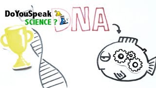 Struttura del DNA Cosa sono gli acidi nucleici La Scienza del DNA [upl. by Ainigriv]