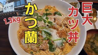 自由人vs巨大カツ丼 [upl. by Halla834]