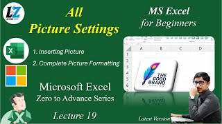 19 Complete Picture Settings in MS Excel  Free Course for Beginners in Urdu Hindi excel teacher [upl. by Elleiand947]