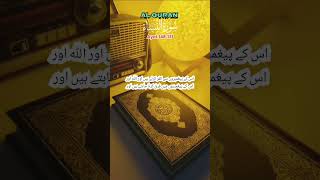 How about Surah AlNisa Ki Urdu TarjumaAyat No 148151 youtubeshorts shortsfeed quran shorts [upl. by Aneeram]