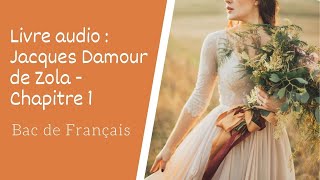 Livre audio Jacques Damour de Zola chapitre 1 [upl. by Fabi33]