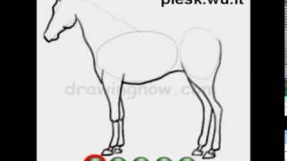 Kaip nupiesti arkli How to draw a horse [upl. by Purdy]