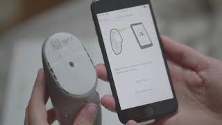 Dexcom G6  Getting Started and Setting Up the App [upl. by Janaya]