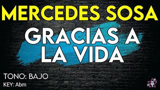 Mercedes Sosa  Gracias A La Vida  Karaoke Instrumental  Tono Bajo [upl. by Leeland882]