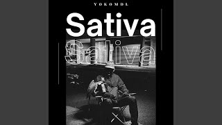 Sativa [upl. by Nappy]