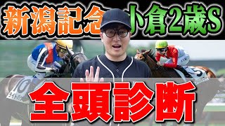 【新潟記念amp小倉2歳S2024予想】夏競馬を締め括る激アツ穴馬を発見！ [upl. by Divadnhoj]