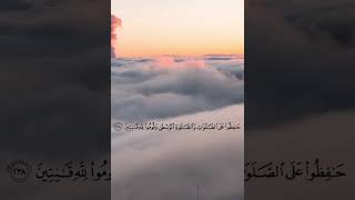 Al baqarah  ayat 238  Episode 2 [upl. by Moyna877]