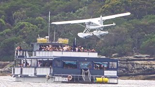 Intense Seaplane Operations in Busy Waterway  Takeoff and Landing [upl. by Oilenroc]