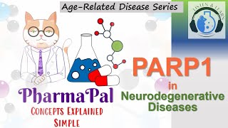 PARP1 in Neurodegenerative Diseases 🧬👳‍♂️👩‍🦳🧠💊📺 [upl. by Ahsier]