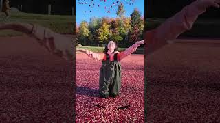 Cranberry Plunge at Muskoka Canada [upl. by Htebazie772]