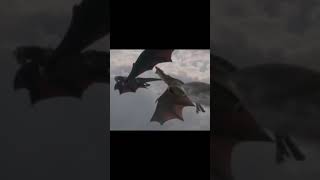 Rhaegal Dragon Death houseofthedragon houseofhighlights gameofthrones gameofthronesedit [upl. by Obaza]