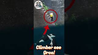 Climber Sees Orca Hunting Up Close – Watch This Unbelievable Footage amazing movie [upl. by Knitter]