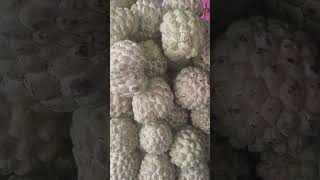 Custard apple benefits Telugu [upl. by Marshall143]