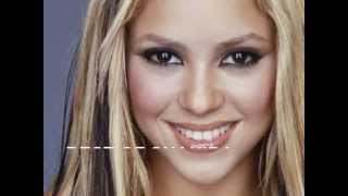 best of shakira 2013 remix megamix dance club pop [upl. by Annasoh]