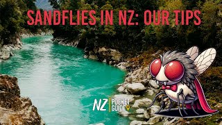 Surviving Sandflies in New Zealand Tips amp Tricks for Tourists [upl. by Nnaecarg]