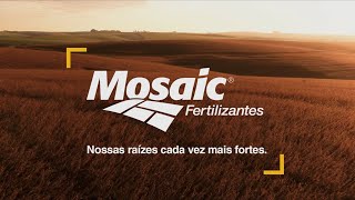 Mosaic Fertilizantes juntos na missão de produzir alimentos [upl. by Vaules82]