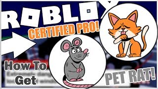 How to get the CERTIFIED PRO and PET RAT BADGES in BREAK IN ROBLOX [upl. by Narual]