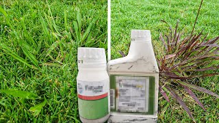 Testing Powerful Weed Control Combo on Dallisgrass Crabgrass and Other Tough Weeds [upl. by Sera]