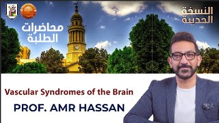 Vascular Syndromes of the Brain  أدعمرو حسن الحسني أستاذ المخ والأعصاب [upl. by Annayek762]