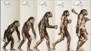 Evolutionary Predictions [upl. by Onahpets]