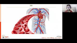 HSC BIOLOGY 2ND PAPER CHAPTER 4 [upl. by Sabas]