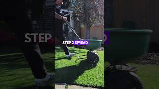 Want a THICKER LAWN DO THIS spring trending subscribe lawncare diy howto tutorial [upl. by Uok]