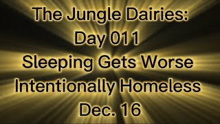 The Jungle Diaries  Day 011  Sleeping Gets Worse  Intentionally Homeless  Dec 16 [upl. by Qulllon206]