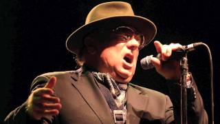 Tupelo Honey  Van Morrison Live in San Francisco [upl. by Car]