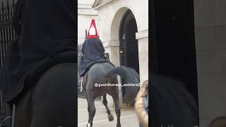 King’s horse get spooked Guard controlled the horse fyp horseguard kingsguard animals animals [upl. by Sanjiv]