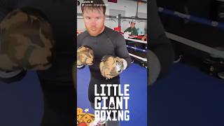 SCARY CANELO POV BLASTING THE MITTS LIKE A BEAST [upl. by Sluiter]