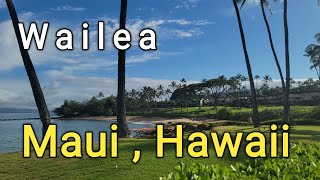 Wailea Maui Hawaii Travel Vlog Roadtrip [upl. by Eirek586]