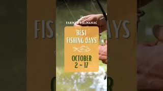 Best Fishing Days October 2024 [upl. by Nnahs459]