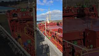 The Federal Alster 200m Bulk Carrier at lock 3 [upl. by Ayikaz171]