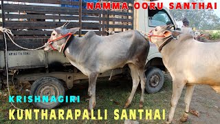 KRISHNAGIRI KUNTHARAPALLI SANTHAI NAMMA OORU SANTHAI [upl. by Yajet249]