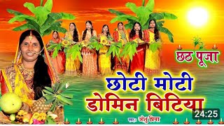 chhathgeet मैं लरकोरीया सुरूज देवा पिया परदेशिया  छठ पूजा गीत  chhath Puja song chhath Puja [upl. by Arah745]