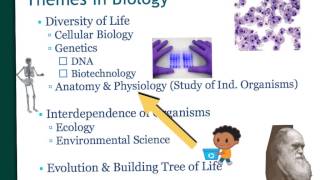 Introduction to Biology [upl. by Sonni]