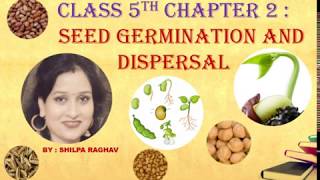 CLASS 5th CHAPTER 2 SEED GERMINATION amp DISPERSAL PART 1 [upl. by Guerra]