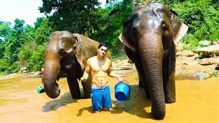 SPENDING A DAY WITH ELEPHANTS Incredible Experience [upl. by Milurd]