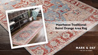 Maarheeze Traditional Burnt Orange Area Rug [upl. by Gore]