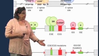 Splicing mutations  Melissa Moore U MassHHMI [upl. by Also]