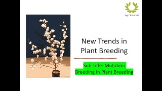 Mutation Breeding in Plant Breeding Mutation Breeding [upl. by Essex]