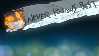 Neverknowsbest  The Secret World Of Arriety Lyric Video [upl. by Azar]