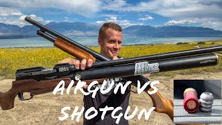 Airgun VS Shotgun Is The AEA ZEUS More Powerful Than A 12 Guage Slug [upl. by Ruamaj329]